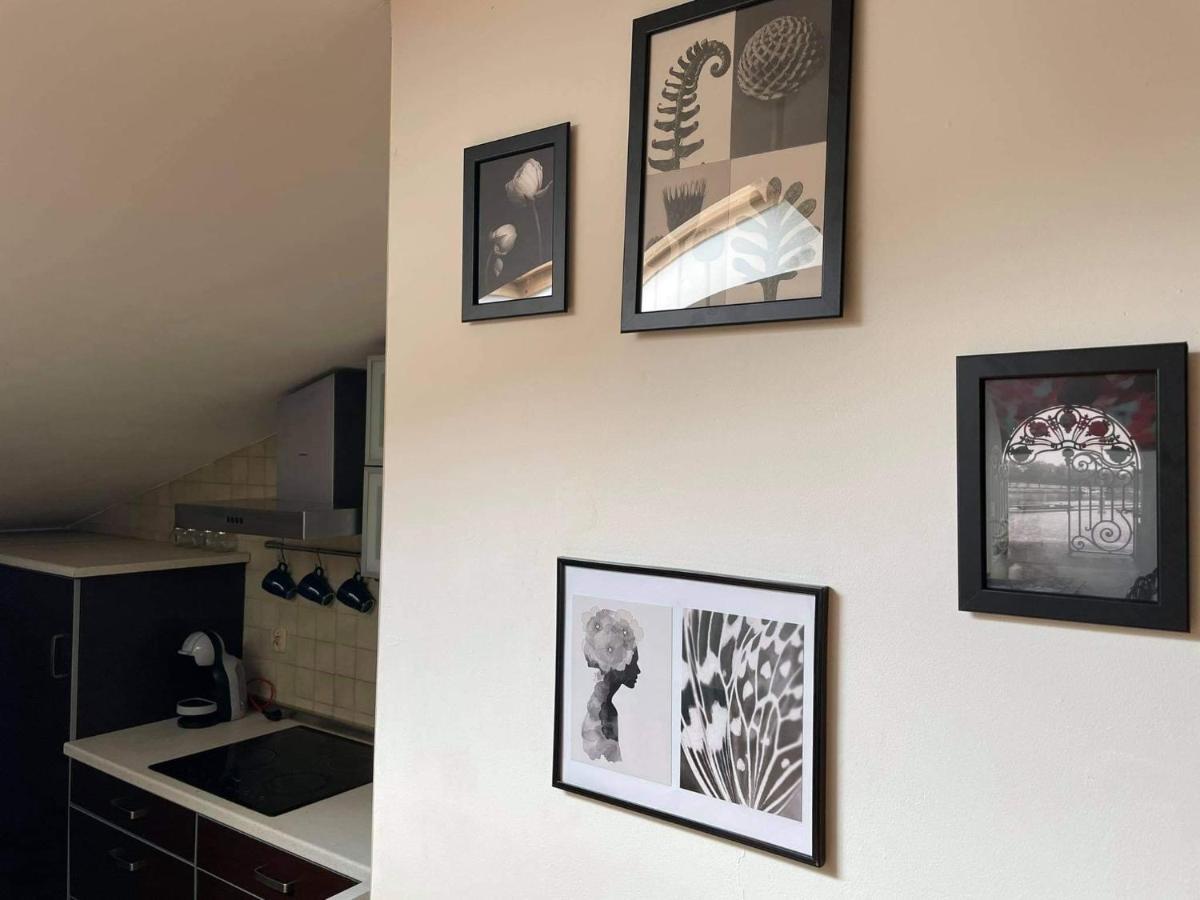 Apartament Studio Naleczow Bagian luar foto